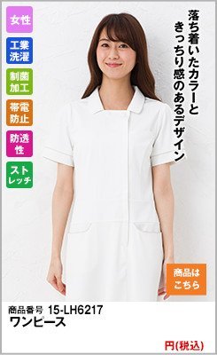 LH-6217 ビーズベリー 半袖ワンピース ナガイレーベン